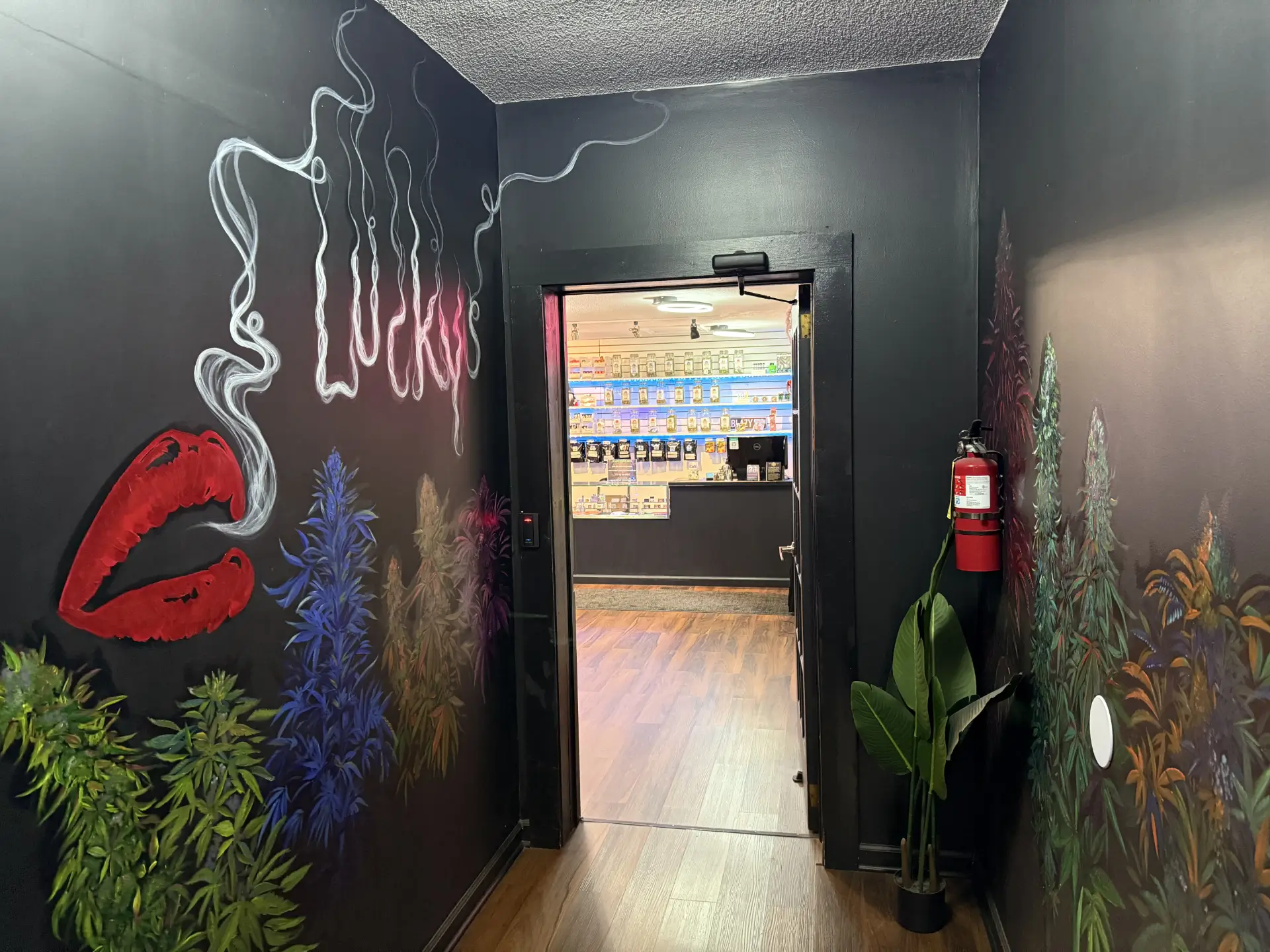 Hallway leading to sales floor Raahul Reddy (1)